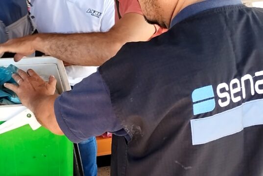 Sanidad apícola: qué productos no se pueden ingresar a la Argentina
