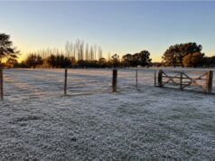 San Luis entra otra vez en modo invierno: vuelven las heladas y siguen sin llegar las lluvias