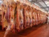 Primer semestre: la faena bovina se encamina a cerrar el año por debajo de 2025, con más kilos por animal