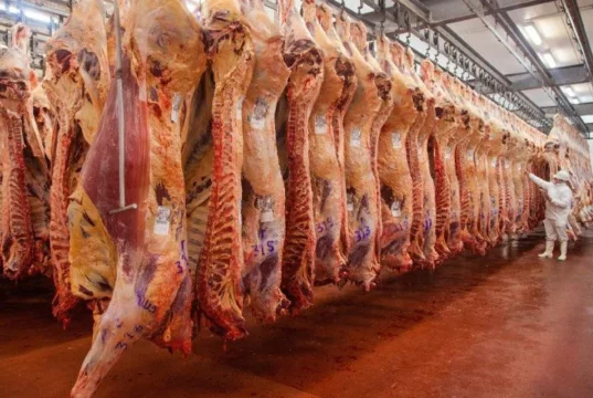 Primer semestre: la faena bovina se encamina a cerrar el año por debajo de 2025, con más kilos por animal
