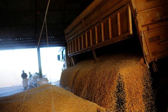La soja se dispara en Chicago: subió más de US$17 por tonelada impulsada por el clima y expectativas comerciales
