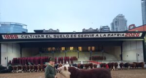 Cabaña La Redomona incorporó un toro campeón de Palermo para potenciar su genética Hereford