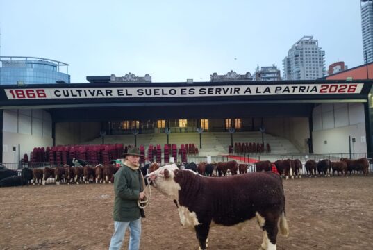 Cabaña La Redomona incorporó un toro campeón de Palermo para potenciar su genética Hereford