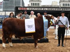 Tomasevich y La Josefina mostraron su mejor genética en Palermo y cosecharon importantes premios