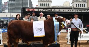Tomasevich y La Josefina mostraron su mejor genética en Palermo y cosecharon importantes premios