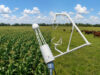 Emisiones de carbono en el agro: ¿Por qué a la ganadería pampeana le va mejor que a la agricultura?