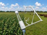 Emisiones de carbono en el agro: ¿Por qué a la ganadería pampeana le va mejor que a la agricultura?