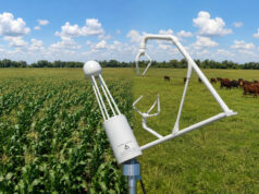 Emisiones de carbono en el agro: ¿Por qué a la ganadería pampeana le va mejor que a la agricultura?