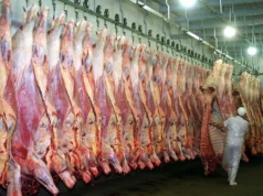 La faena vacuna cayó casi 9% en el primer semestre, mientras crecen las exportaciones y se desacelera el consumo interno