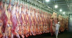 La faena vacuna cayó casi 9% en el primer semestre, mientras crecen las exportaciones y se desacelera el consumo interno