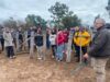 Bienestar animal: capacitación sobre manejo de bajo estrés y buenas prácticas ganaderas en Villa Mercedes y San Luis