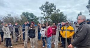 Bienestar animal: capacitación sobre manejo de bajo estrés y buenas prácticas ganaderas en Villa Mercedes y San Luis