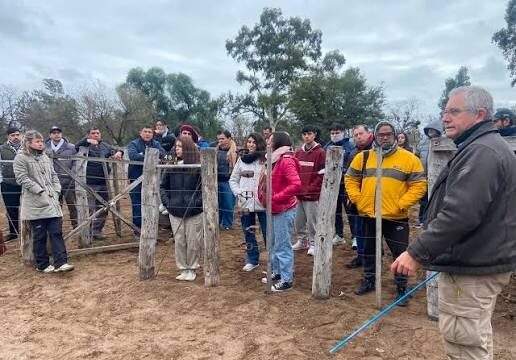 Bienestar animal: capacitación sobre manejo de bajo estrés y buenas prácticas ganaderas en Villa Mercedes y San Luis