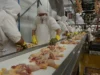 La carne de pollo alcanza un consumo récord en Argentina