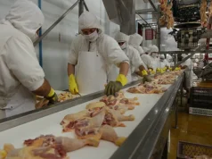 La carne de pollo alcanza un consumo récord en Argentina