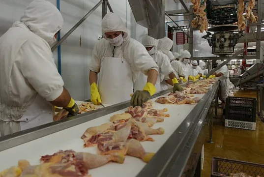 La carne de pollo alcanza un consumo récord en Argentina