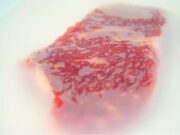 Desarrollan un film biodegradable para conservar carne vacuna