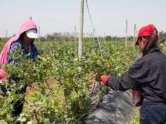 Todos los trabajadores rurales ya pueden inscribirse en el Programa de Empleo Rural del RENATRE
