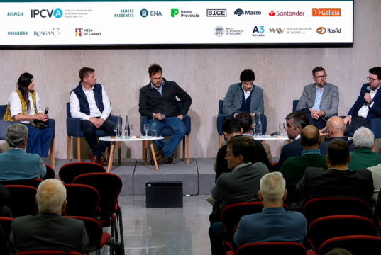 Financiamiento ganadero: cómo los bancos y el mercado de capitales pueden transformar el potencial del sector en inversión