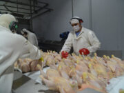 Argentina logró la reapertura del mercado de la Unión Europea para exportar carne fresca aviar