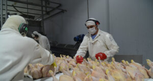 Argentina logró la reapertura del mercado de la Unión Europea para exportar carne fresca aviar