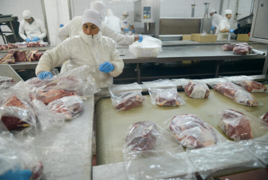 Argentina cumplió con el total de la Cuota Hilton para el ciclo2025/2026