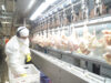 Argentina logró la reapertura del mercado del Reino Unido para la carne aviar