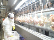 Argentina logró la reapertura del mercado del Reino Unido para la carne aviar