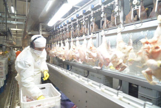 Argentina logró la reapertura del mercado del Reino Unido para la carne aviar