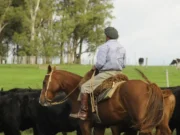 Nuevo aumento salarial para los trabajadores rurales: un peón general cobrará más de $1,14 millones desde julio