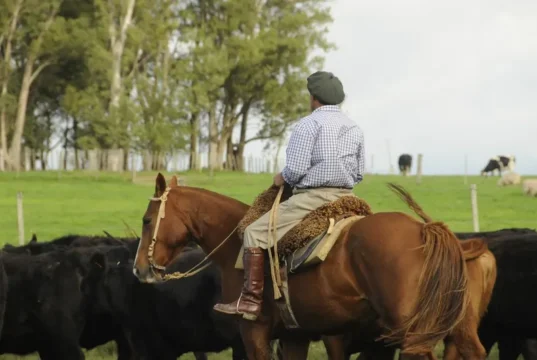 Nuevo aumento salarial para los trabajadores rurales: un peón general cobrará más de $1,14 millones desde julio