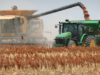 Finalizó la cosecha de sorgo granífero en San Luis con un rendimiento promedio de 3.170 kilos por hectárea