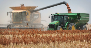 Finalizó la cosecha de sorgo granífero en San Luis con un rendimiento promedio de 3.170 kilos por hectárea
