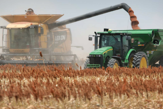 Finalizó la cosecha de sorgo granífero en San Luis con un rendimiento promedio de 3.170 kilos por hectárea