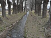 Los usuarios de canales de San Luis deberán declarar su intención de siembra de la temporada primavera-verano