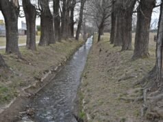 Los usuarios de canales de San Luis deberán declarar su intención de siembra de la temporada primavera-verano
