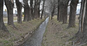 Los usuarios de canales de San Luis deberán declarar su intención de siembra de la temporada primavera-verano
