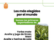 Más de la mitad de las exportaciones argentinas son del agro: el girasol y la yerba las sorpresas