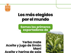 Más de la mitad de las exportaciones argentinas son del agro: el girasol y la yerba las sorpresas