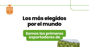 Más de la mitad de las exportaciones argentinas son del agro: el girasol y la yerba las sorpresas