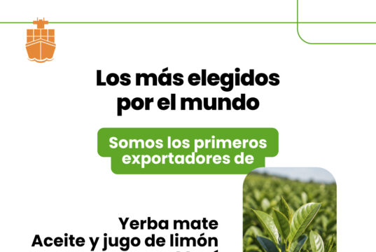 Más de la mitad de las exportaciones argentinas son del agro: el girasol y la yerba las sorpresas