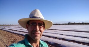 San Luis busca una horticultura de mayor escala, pero enfrenta varios desafíos