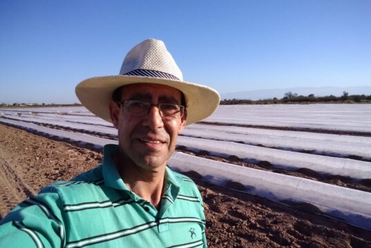 San Luis busca una horticultura de mayor escala, pero enfrenta varios desafíos