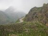 Las lluvias de julio le dan un respiro al campo en San Luis