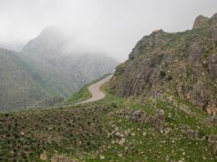 Las lluvias de julio le dan un respiro al campo en San Luis