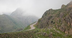 Las lluvias de julio le dan un respiro al campo en San Luis