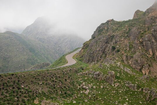 Las lluvias de julio le dan un respiro al campo en San Luis