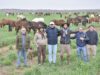 Una apuesta millonaria transforma el sur de San Luis con uno de los mayores centros de genética equina del país