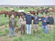 Una apuesta millonaria transforma el sur de San Luis con uno de los mayores centros de genética equina del país
