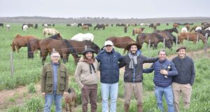 Una apuesta millonaria transforma el sur de San Luis con uno de los mayores centros de genética equina del país